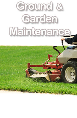 ground and garden maintenance Falcon Pest Control